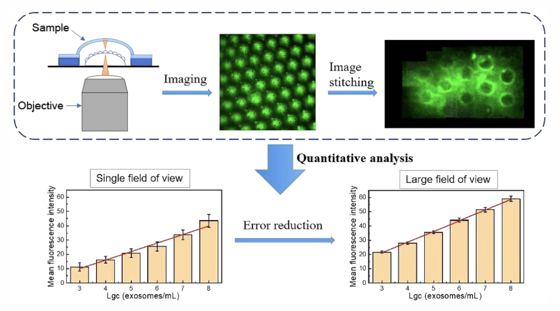 Nano Res.│东南大学王著元教授课题组：用于外泌体定量检测的仿生复眼